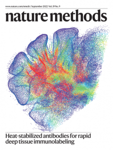 We develop and apply cutting edge technologies for a multipronged investigation of complex neuropsychiatric phenomena (https://www.nature.com/nmeth/volumes/19/issues/9).